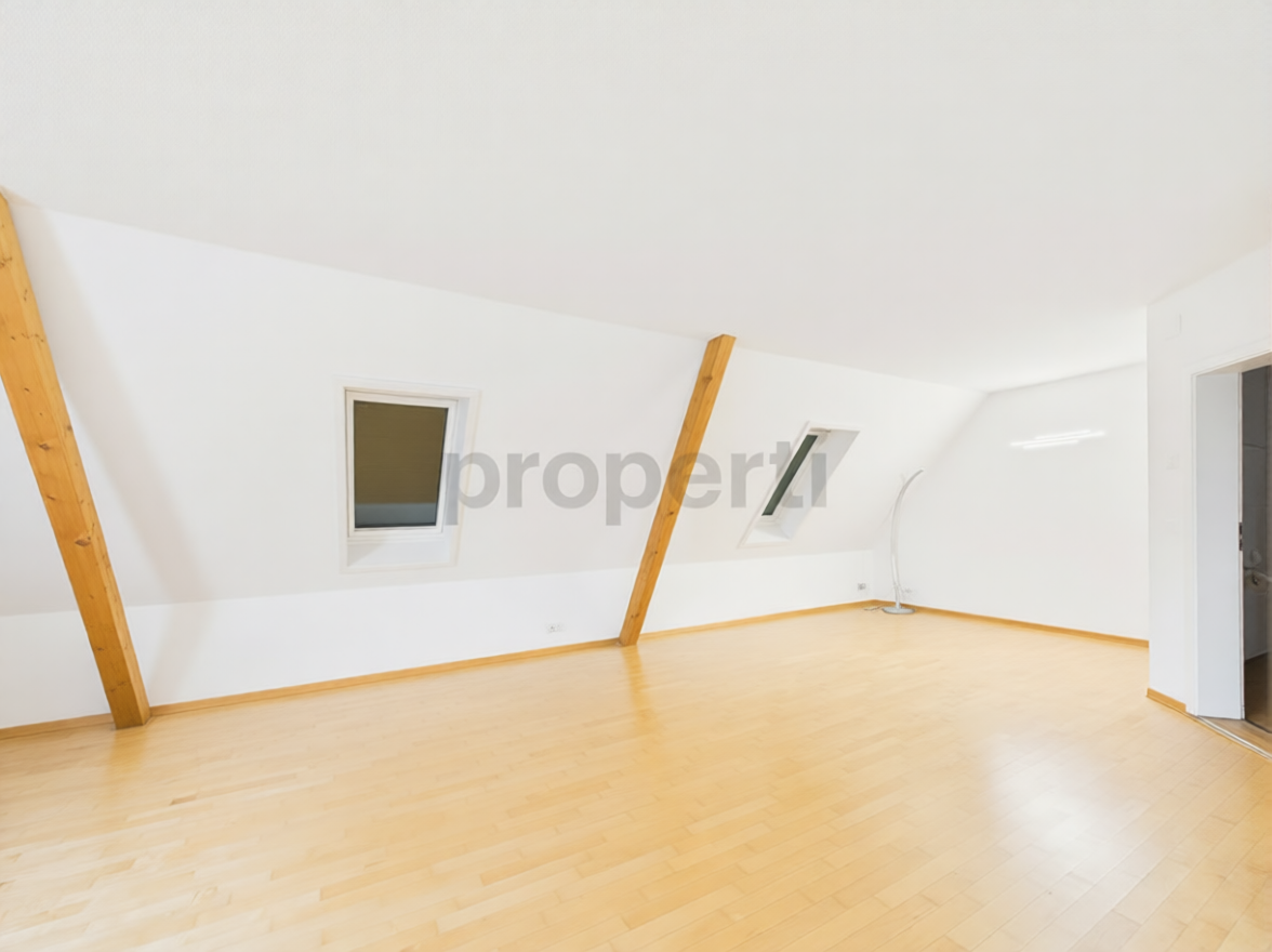 2 ½ rooms duplex