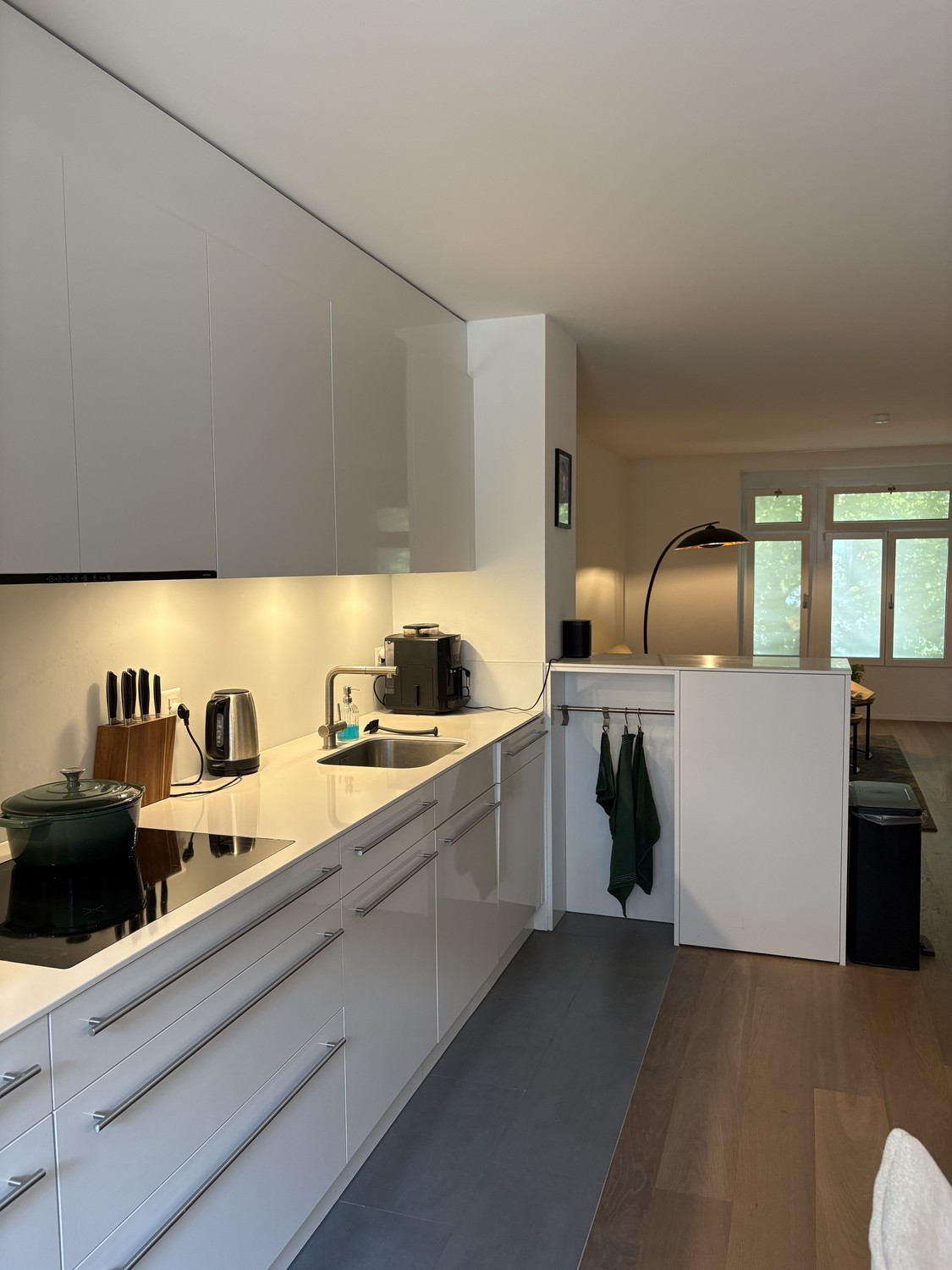 3 ½ rooms apartment