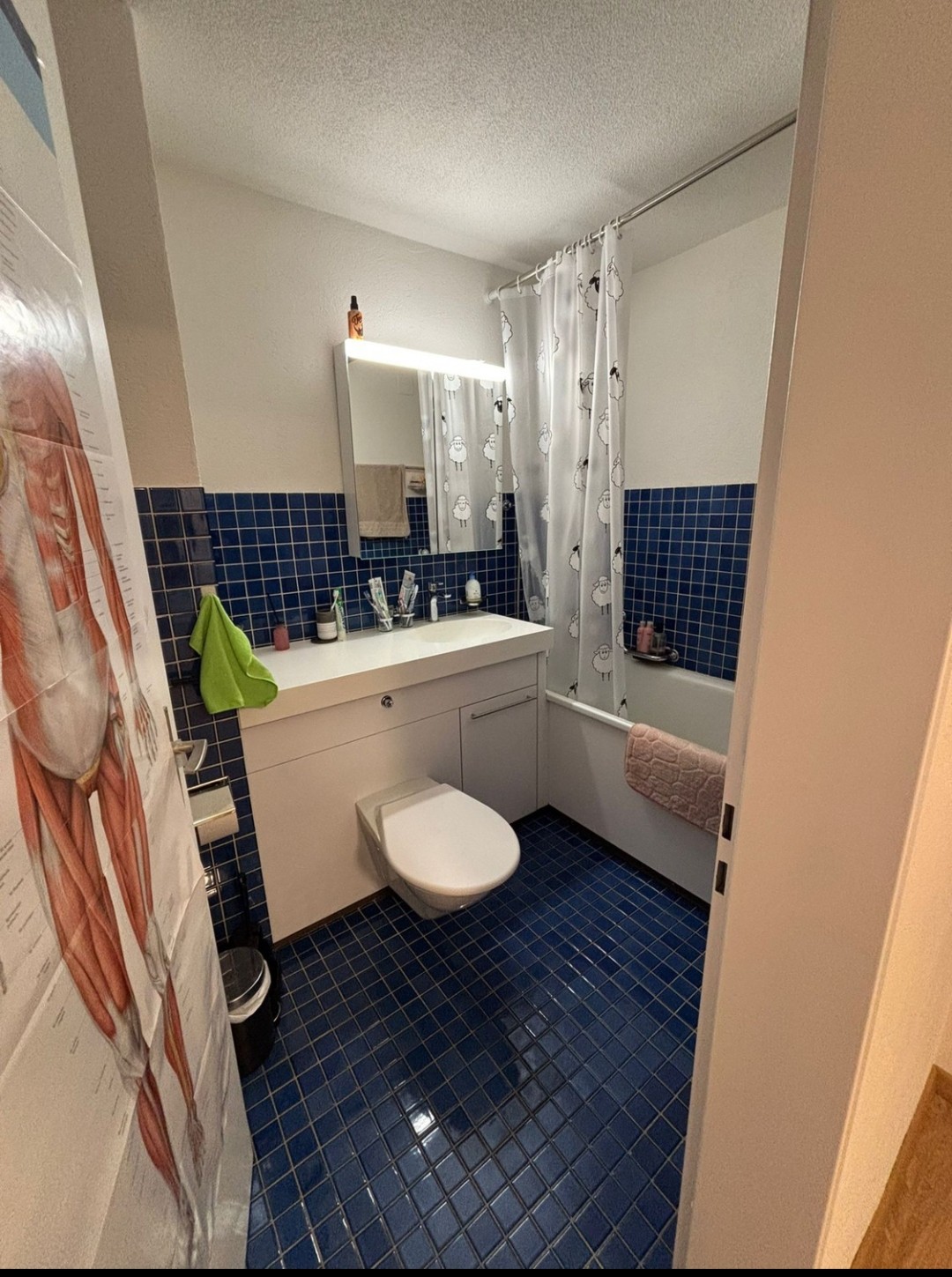 Room in a shared flat