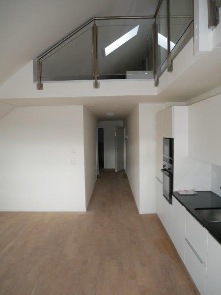 1 ½ rooms duplex