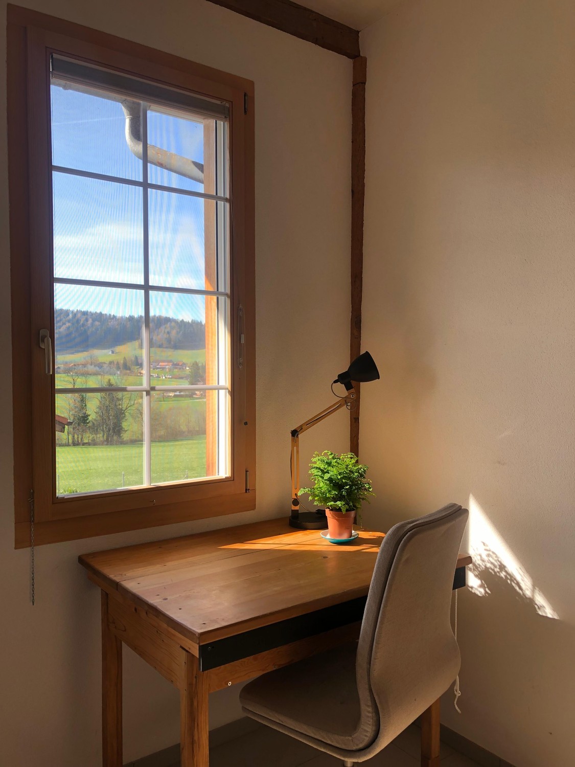 Room in a shared flat, Foto 3 von 10
