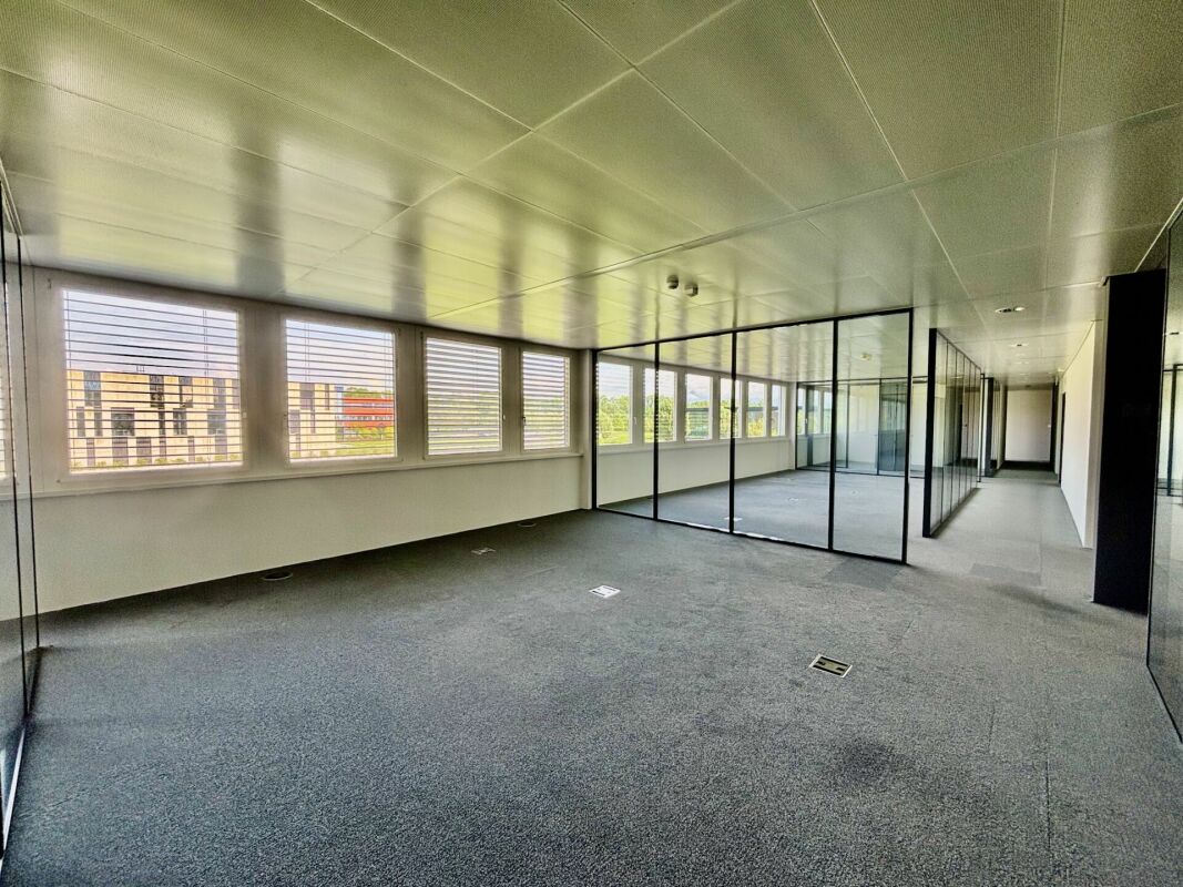 350m² office