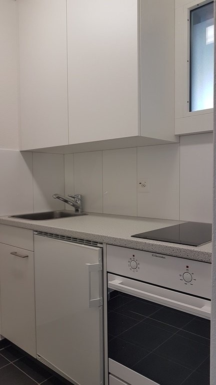 1 rooms apartment