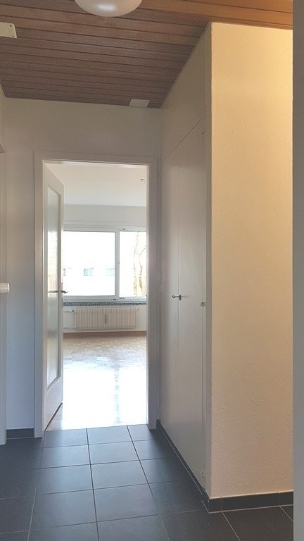 1 rooms apartment