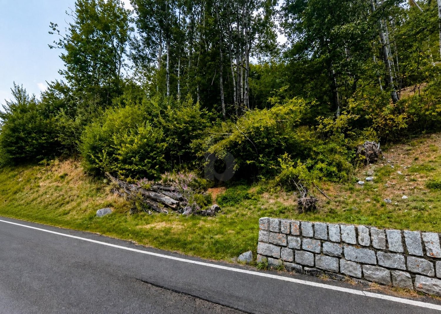 1091m² building land