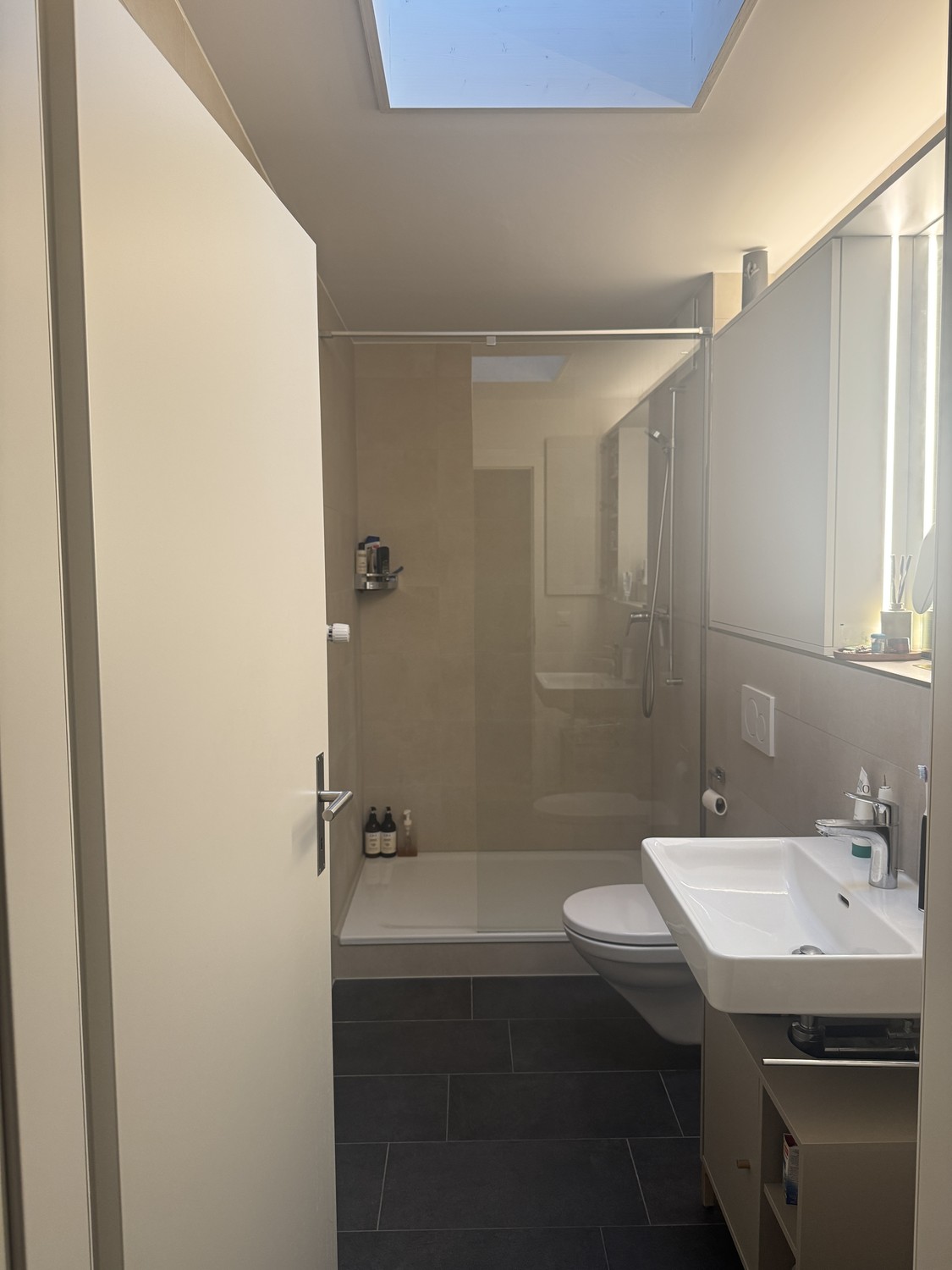 2 ½ rooms apartment