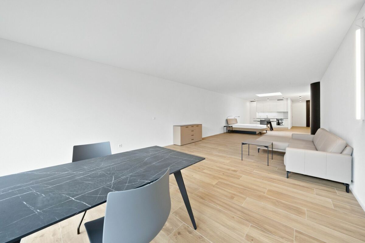 Appartamento arredato di 2 ½ locali