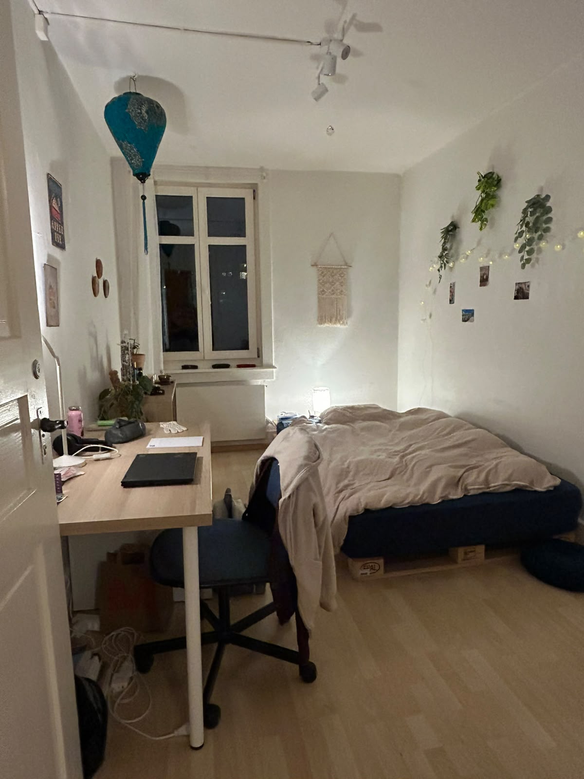 Room in a shared flat