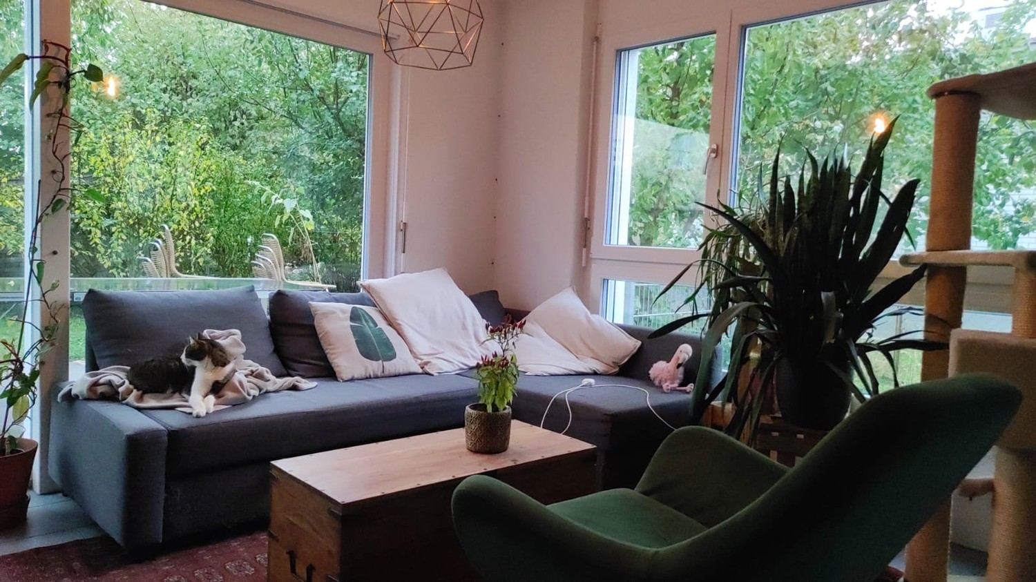 Chambre dans une colocation