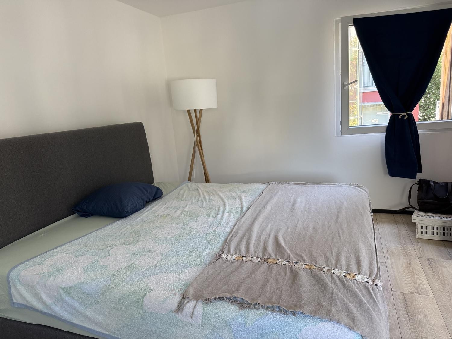 Room in a shared flat