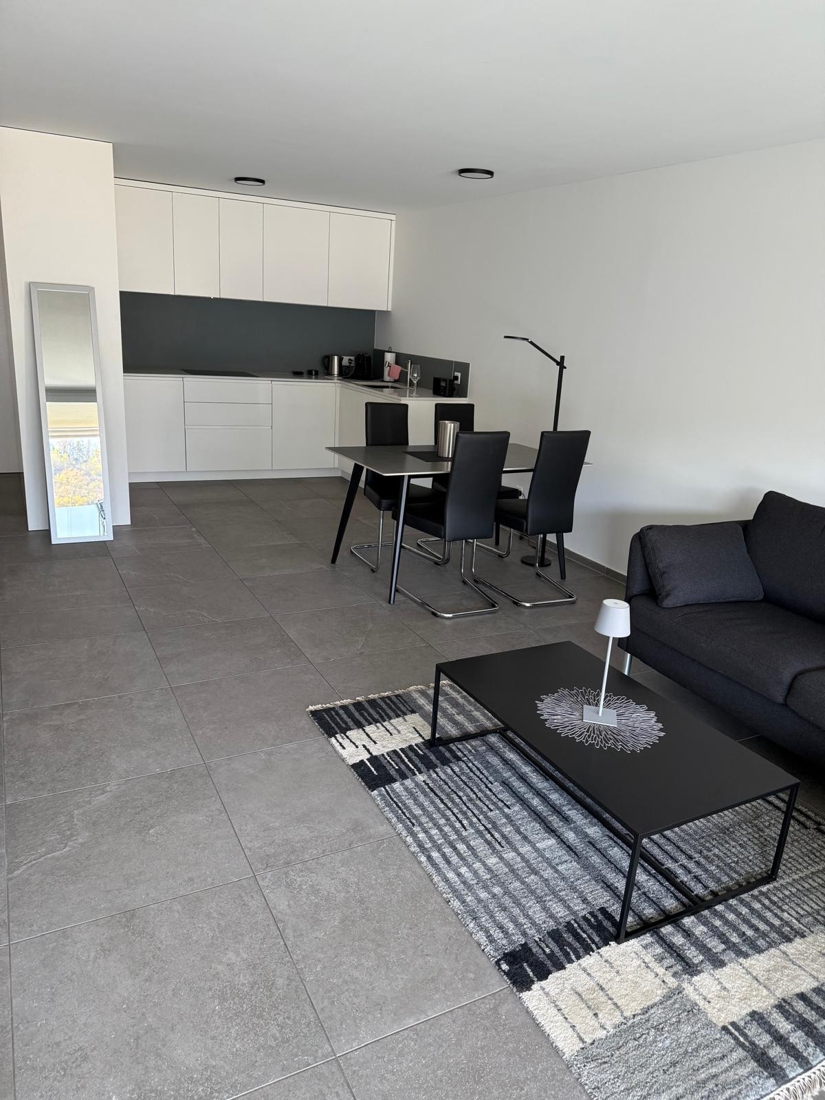 Appartement de 2 ½ pièces