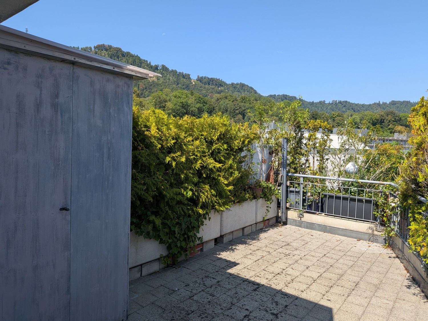 3 ½ Zimmer Wohnung, Foto 2 von 10
