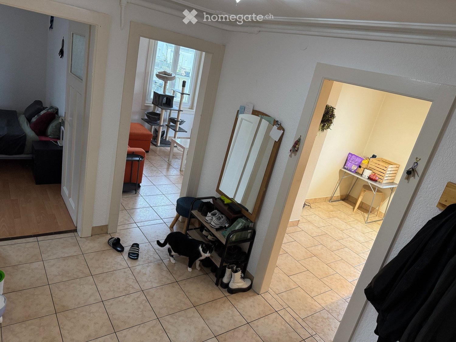 3 ½ Zimmer Wohnung, Foto 1 von 5