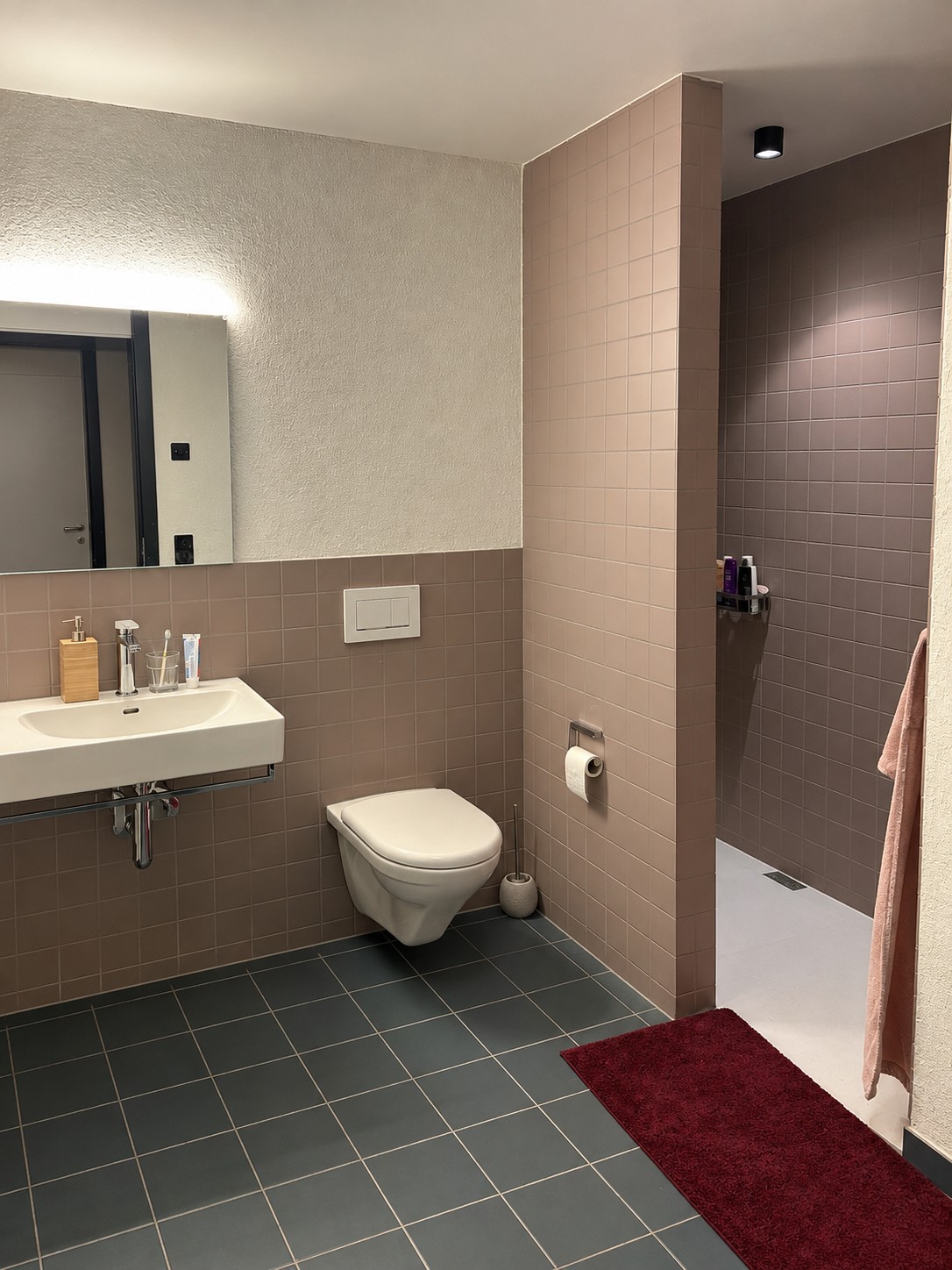 2 ½ rooms apartment