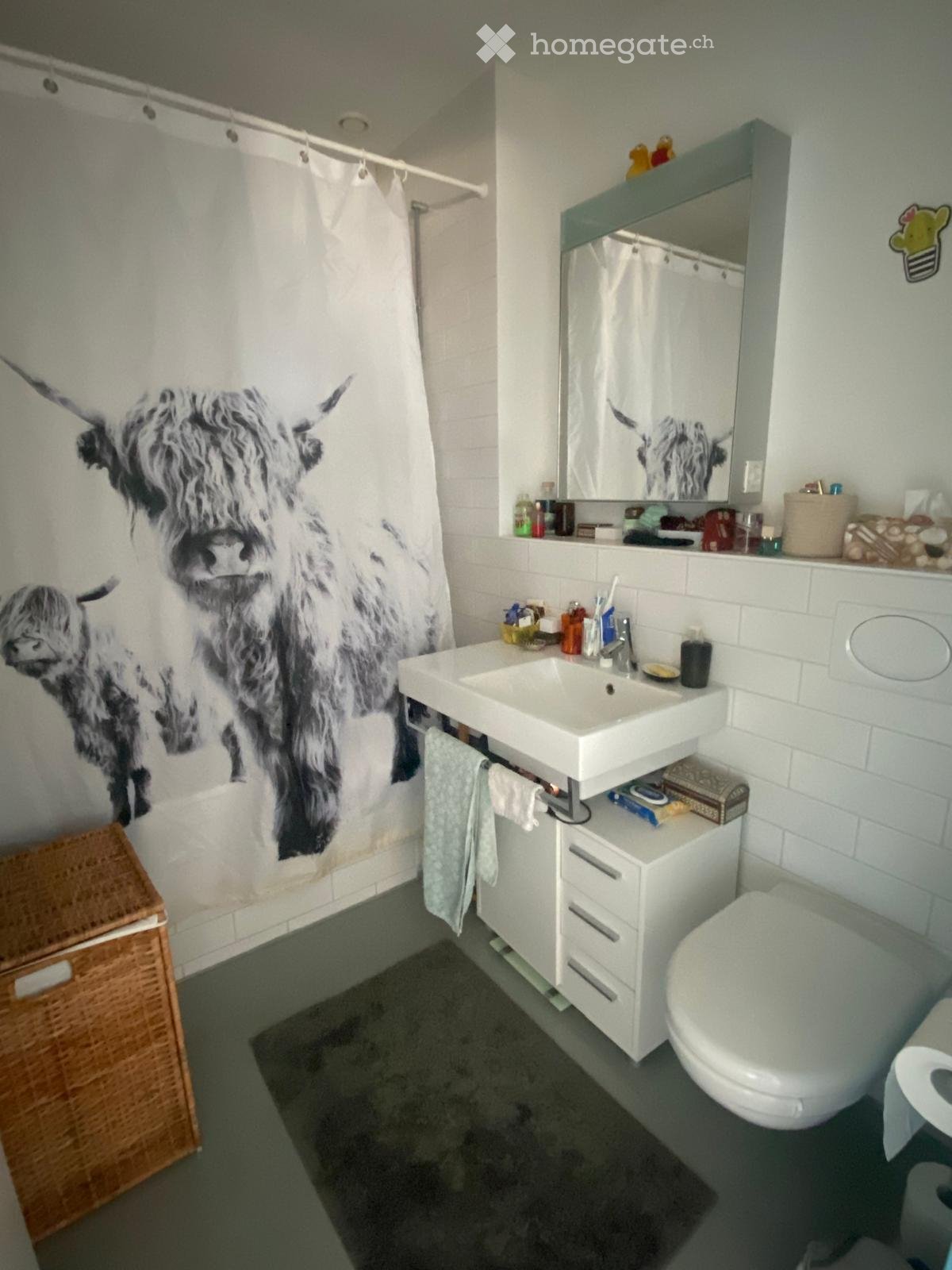 2 ½ rooms apartment
