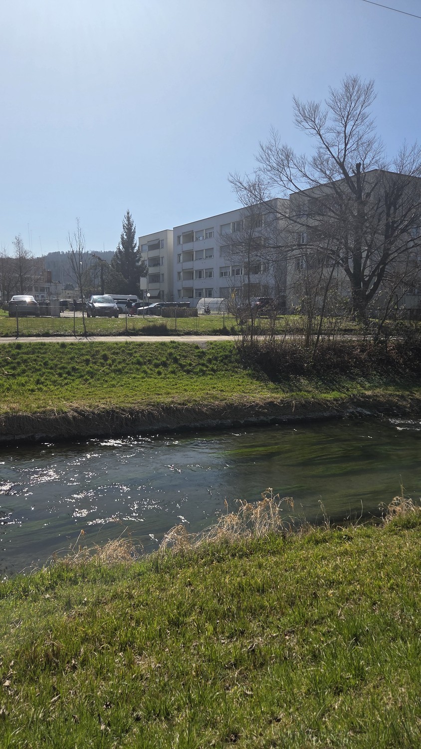 Zimmer in einer WG, Foto 3 von 10