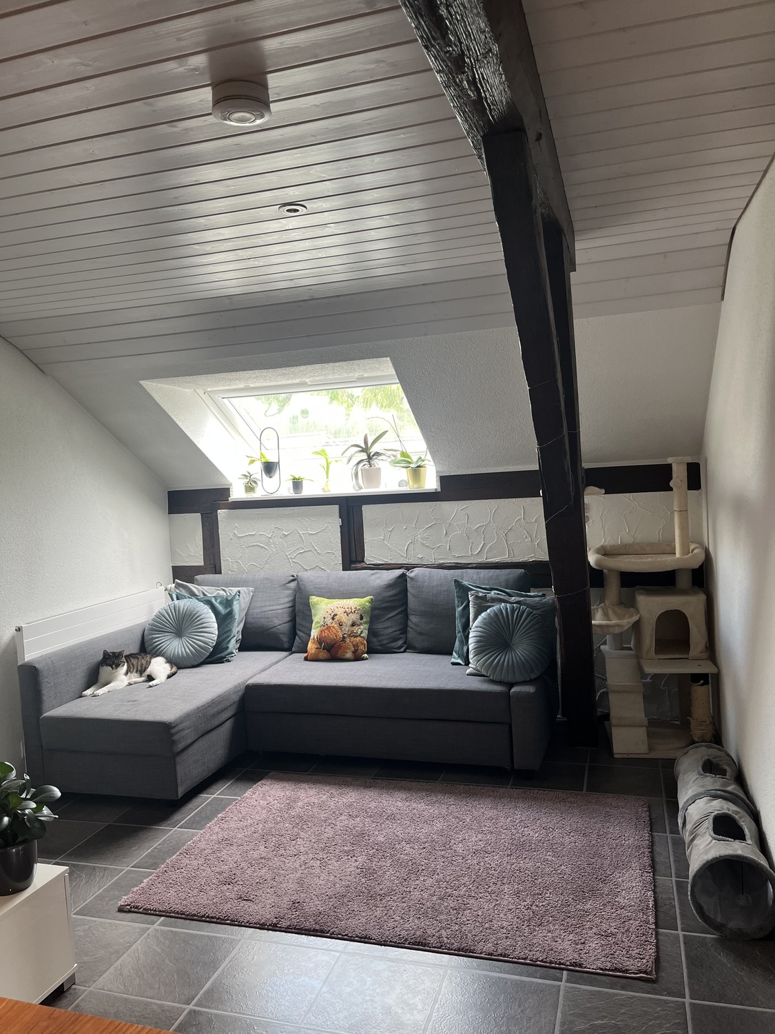 3 rooms apartment