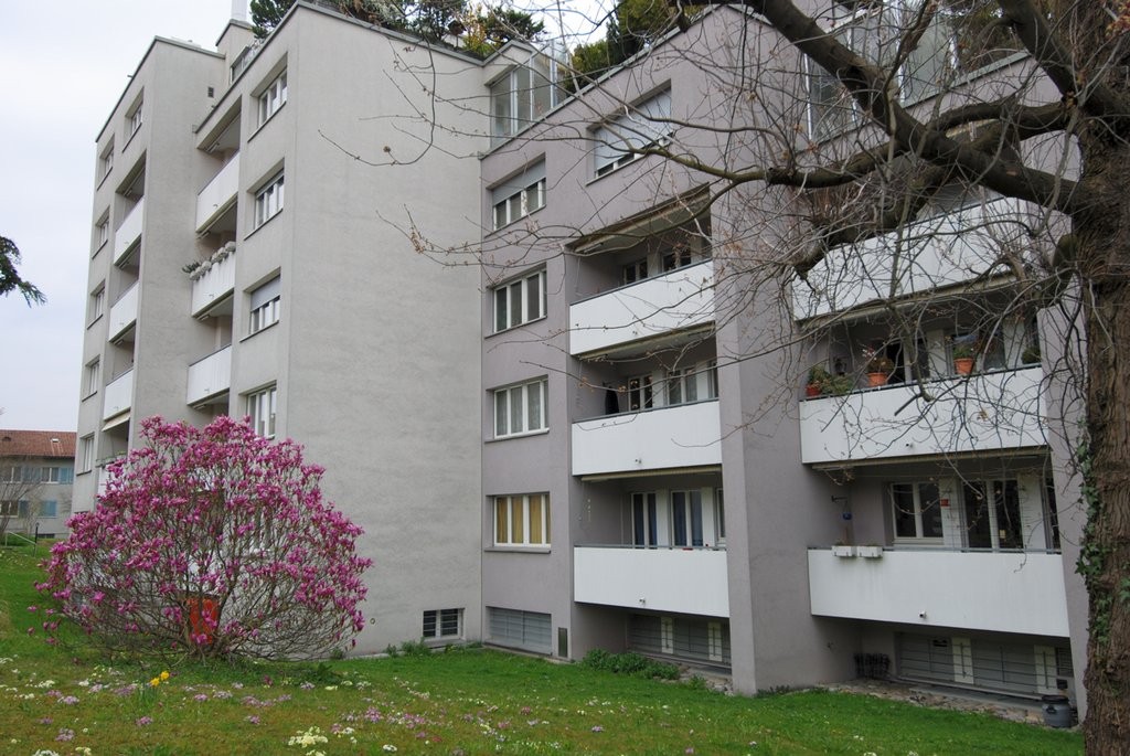 2 ½ rooms apartment, Foto 2 von 10