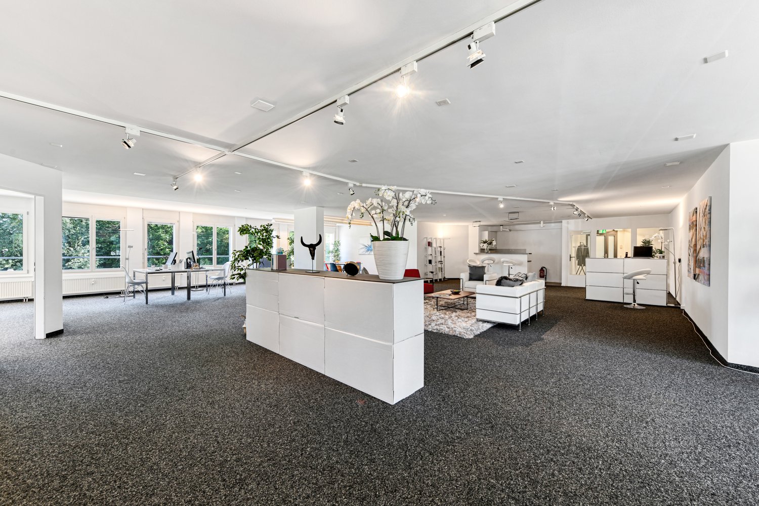 Bureau de 247m²