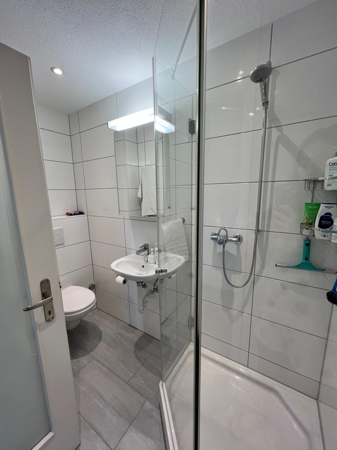 4 ½ Zimmer Wohnung