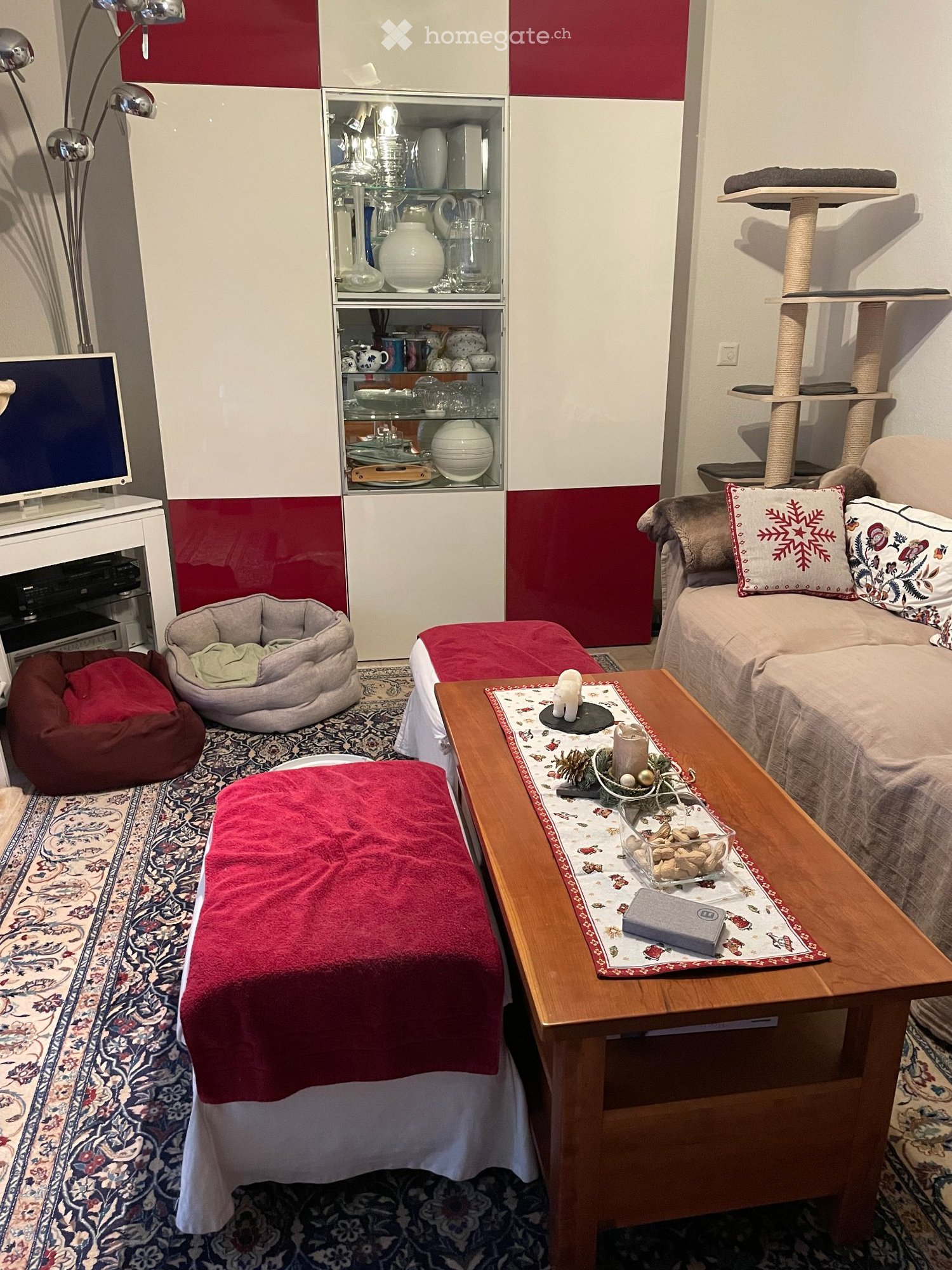 1 Zimmer Einzelzimmer