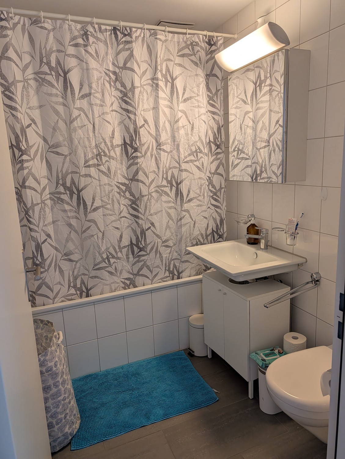 2 ½ rooms apartment