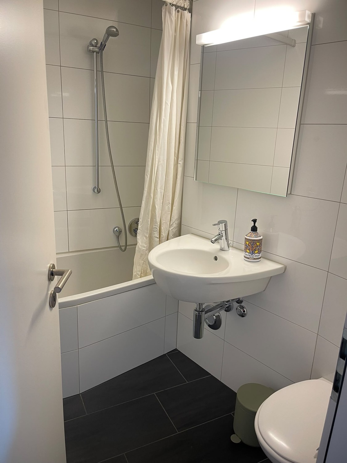 2 ½ rooms apartment