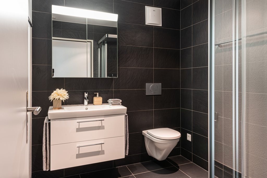 2 ½ pièces appartement