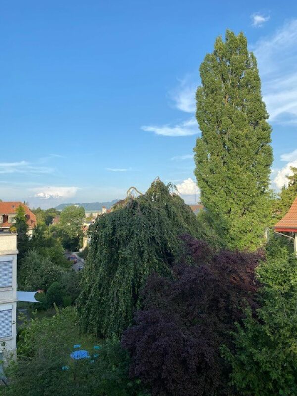 2 ½ locali appartamento in mansarda
