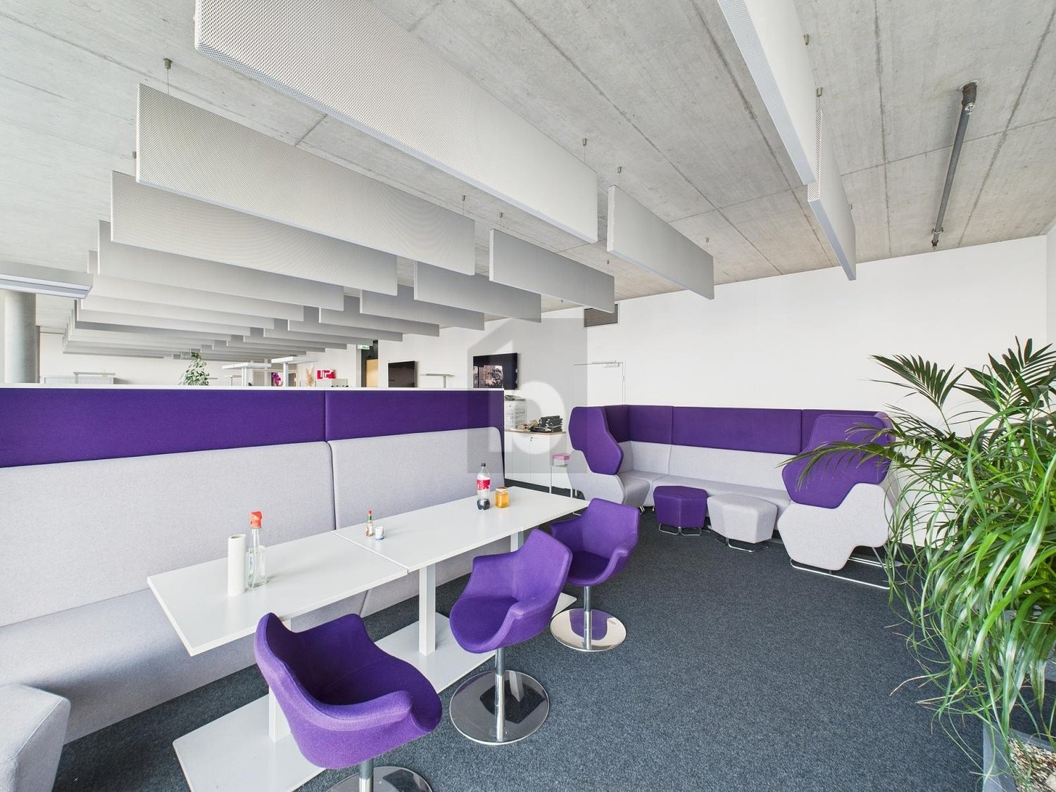 146m² office, Foto 4 von 4