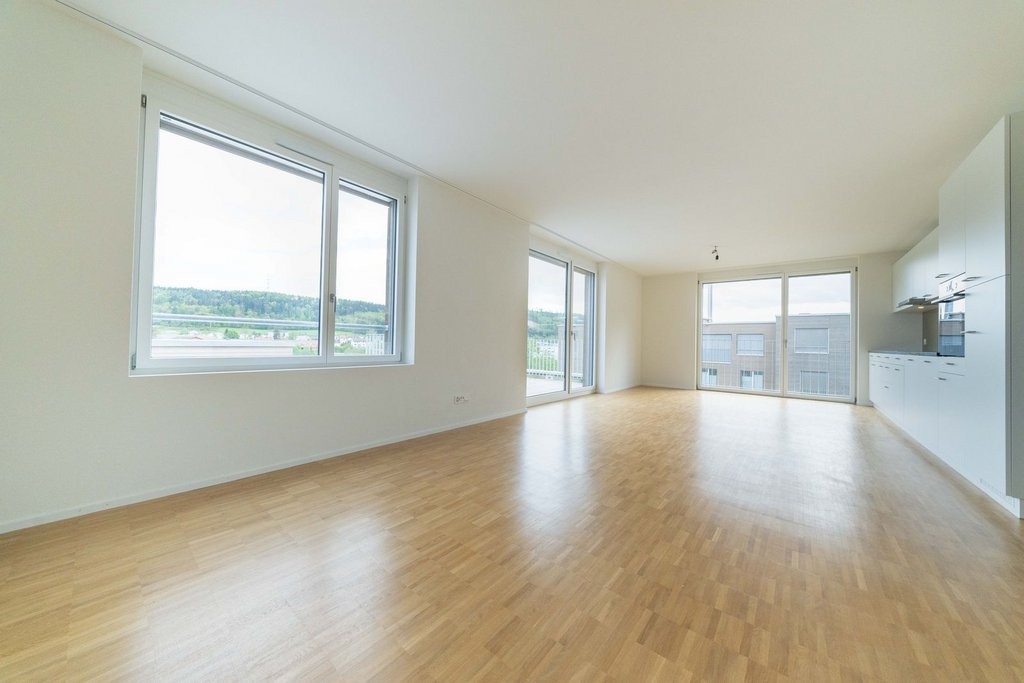 5 ½ rooms apartment