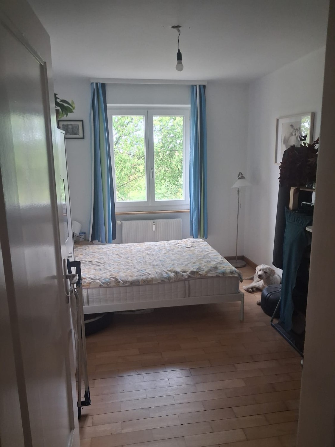 3 ½ rooms apartment, Foto 6 von 7