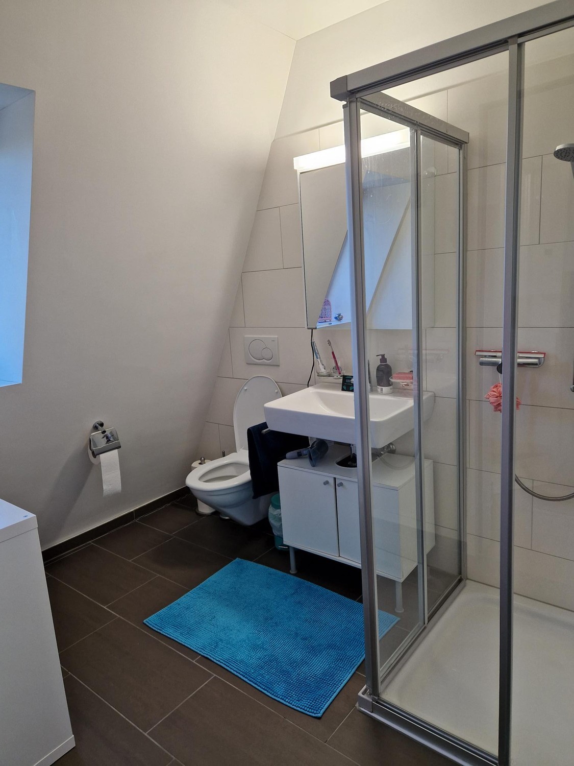 Room in a shared flat