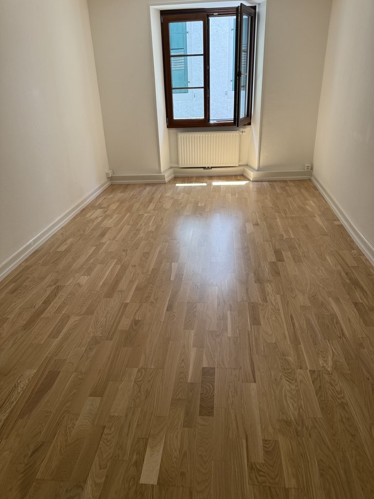 4 ½ rooms apartment (5)