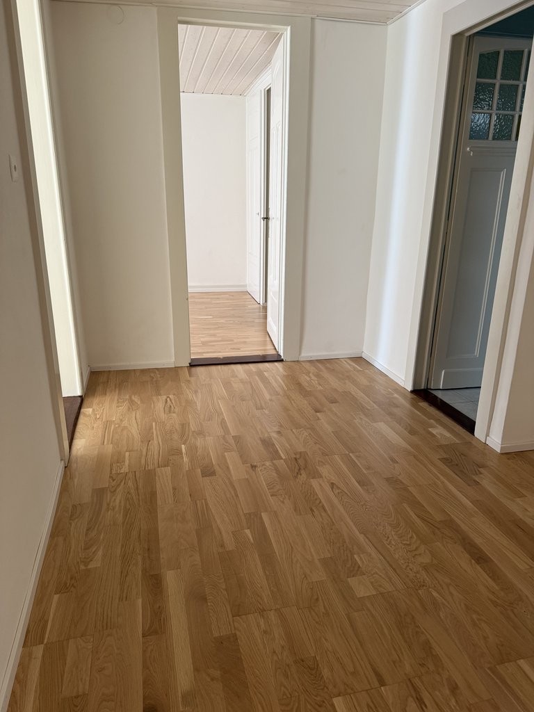 4 ½ rooms apartment (3)