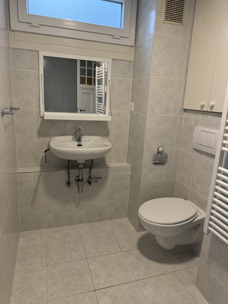 4 ½ rooms apartment (6)