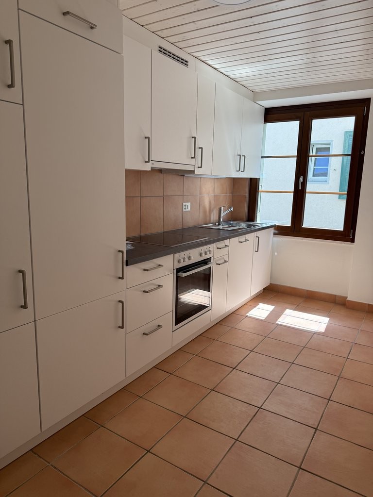 4 ½ rooms apartment (2)