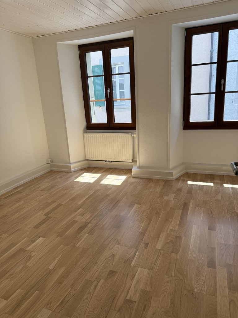 4 ½ rooms apartment (4)