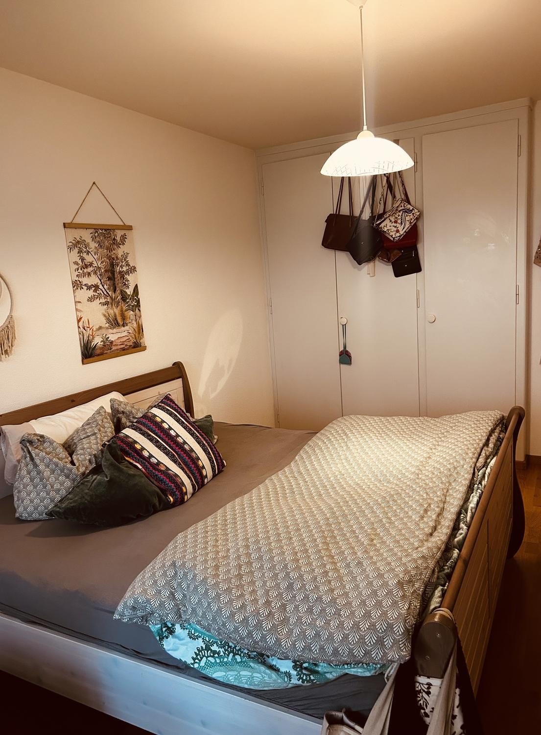 Room in a shared flat