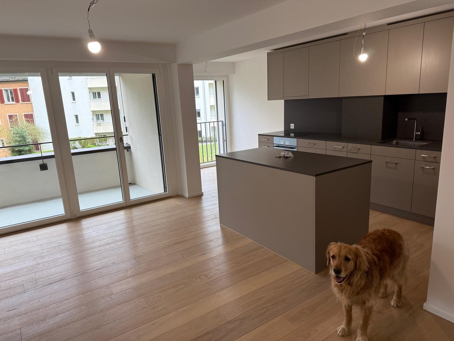 2 ½ pièces appartement