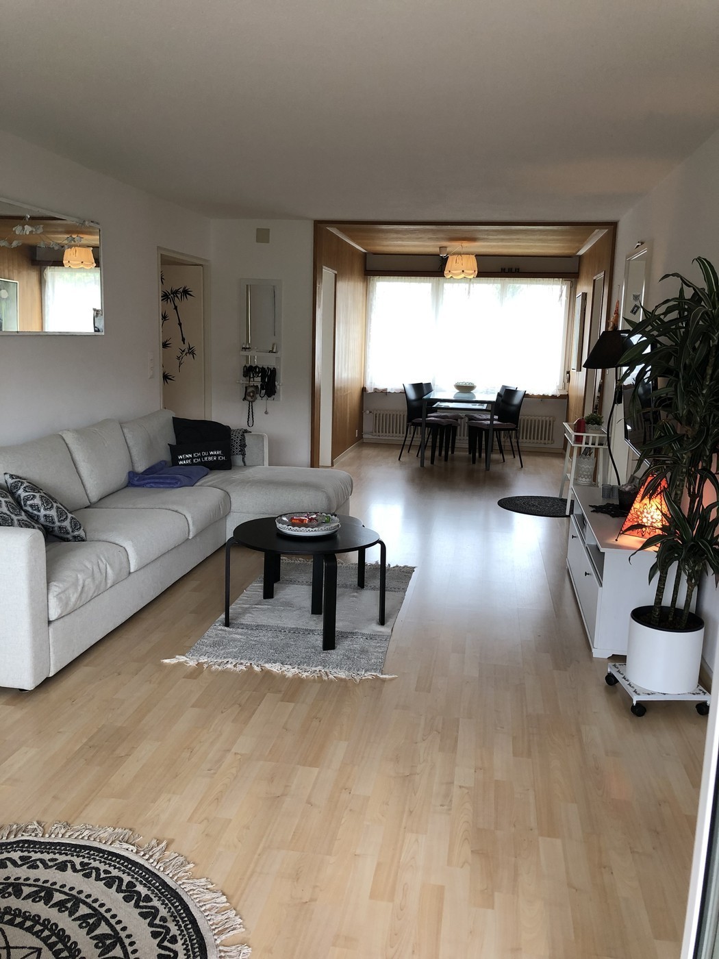 Room in a shared flat