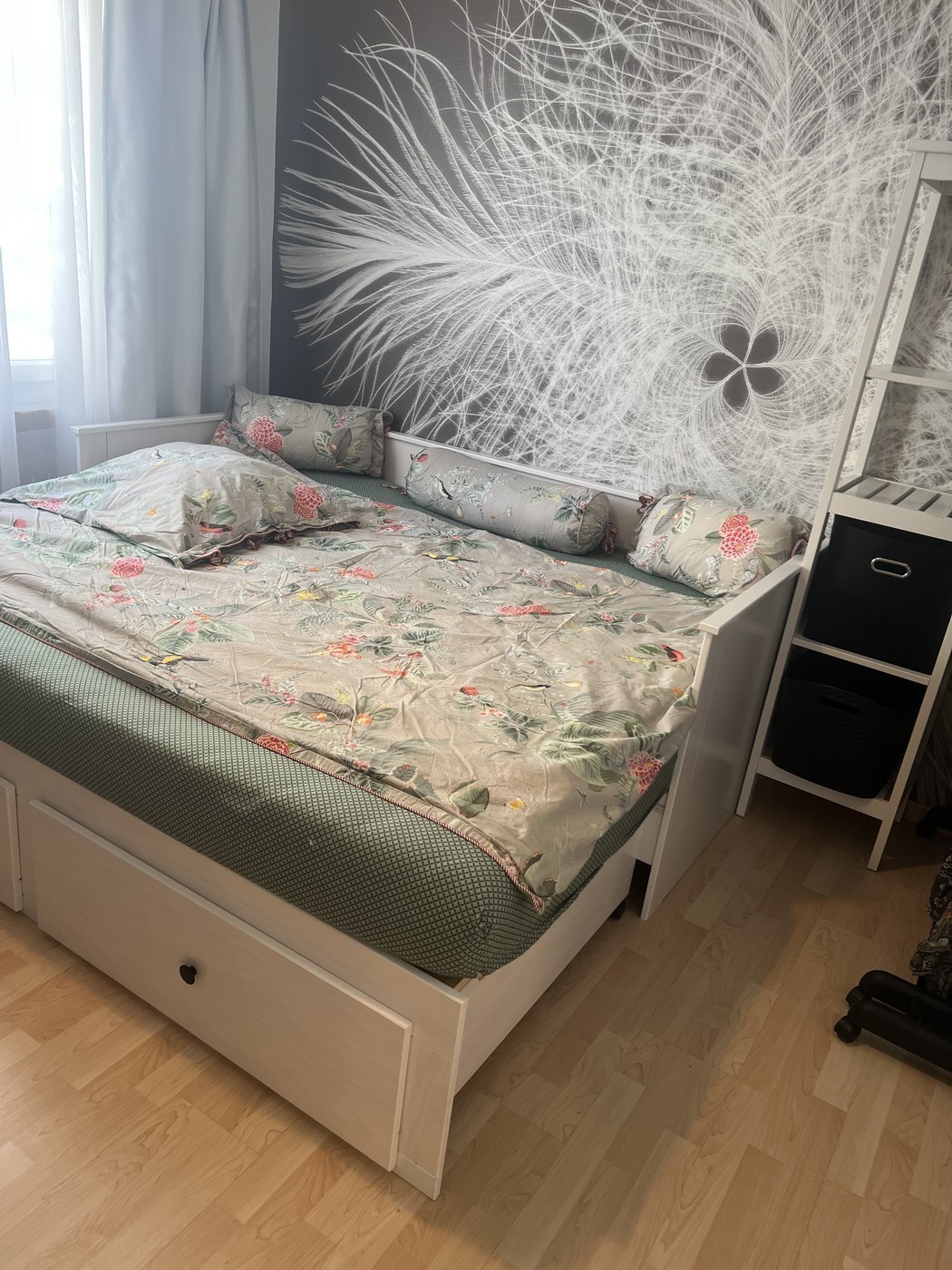 Room in a shared flat