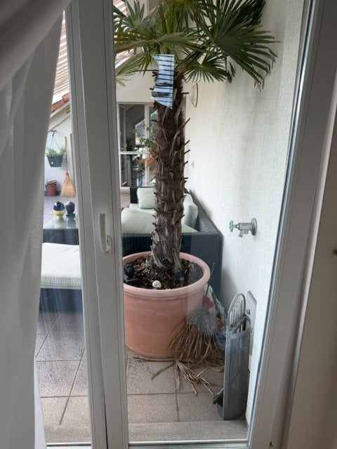 1 room single room, Foto 5 von 5