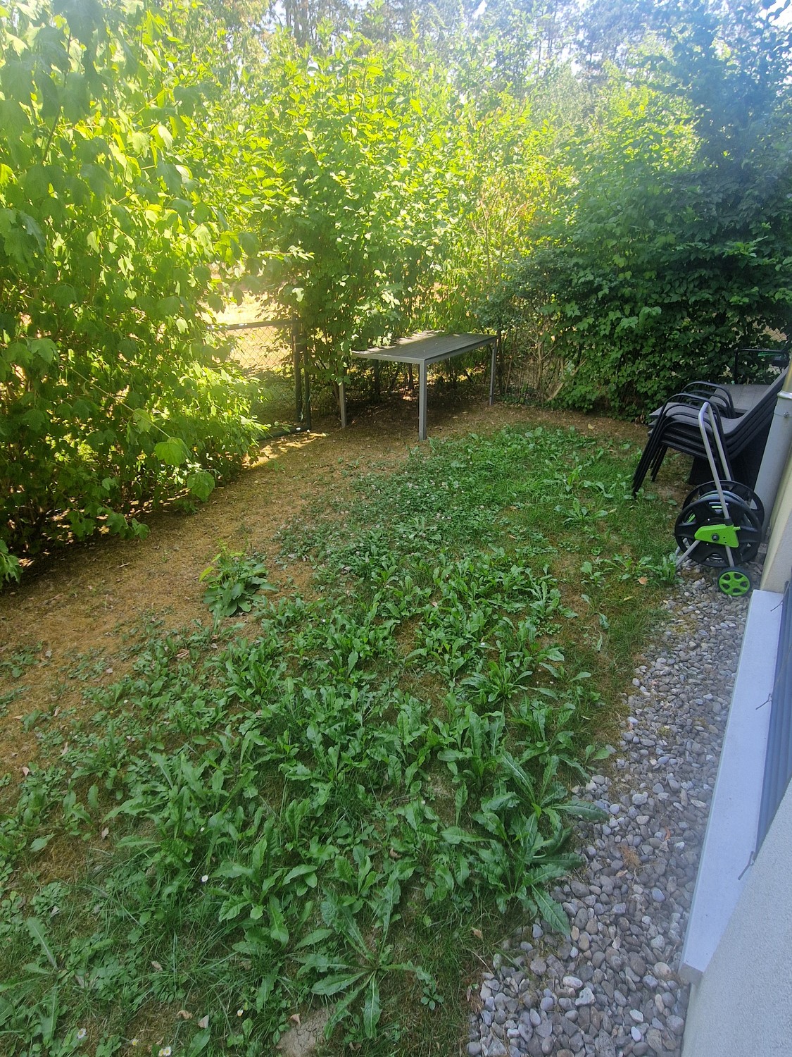 1 room apartment, photo 3 sur 3