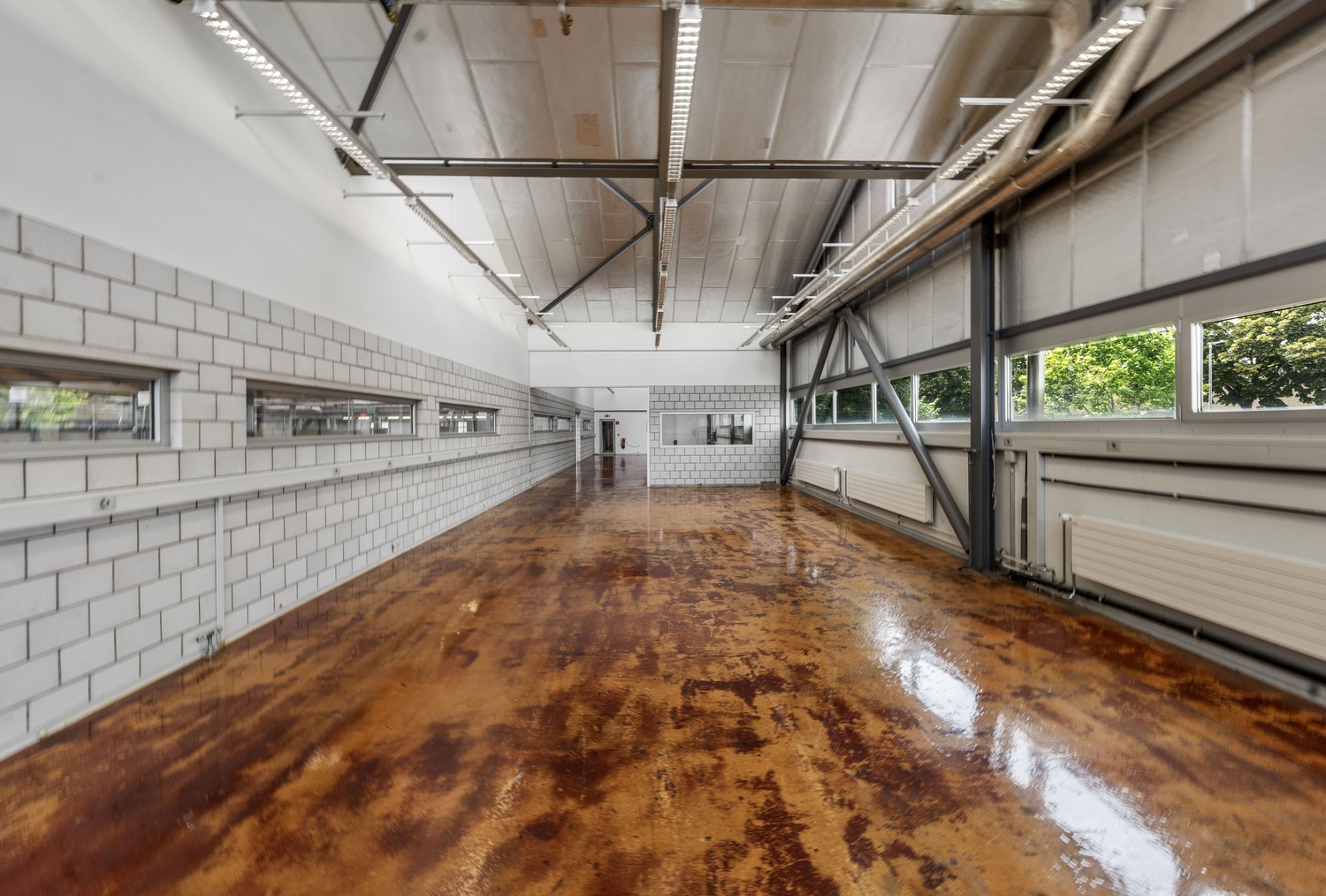 18600m² commercial