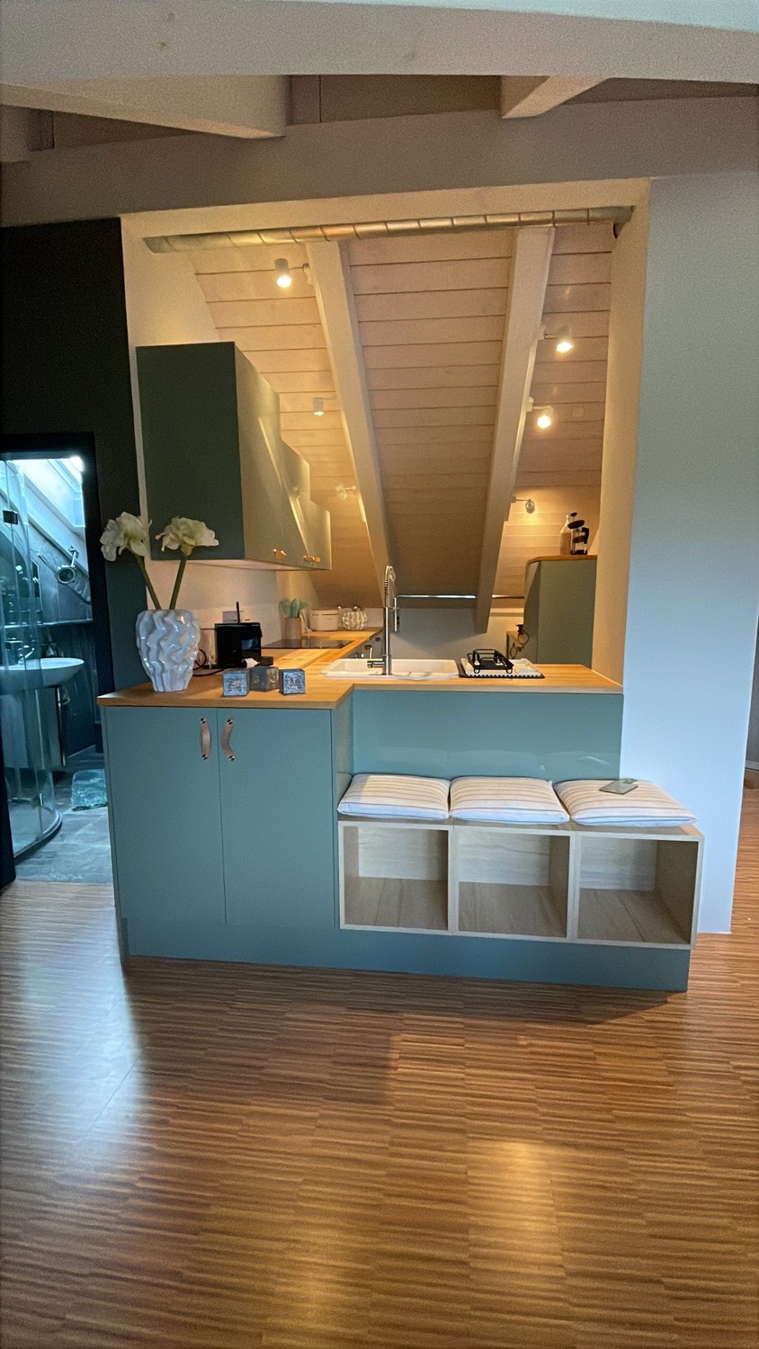 Appartement de 1 ½ pièces