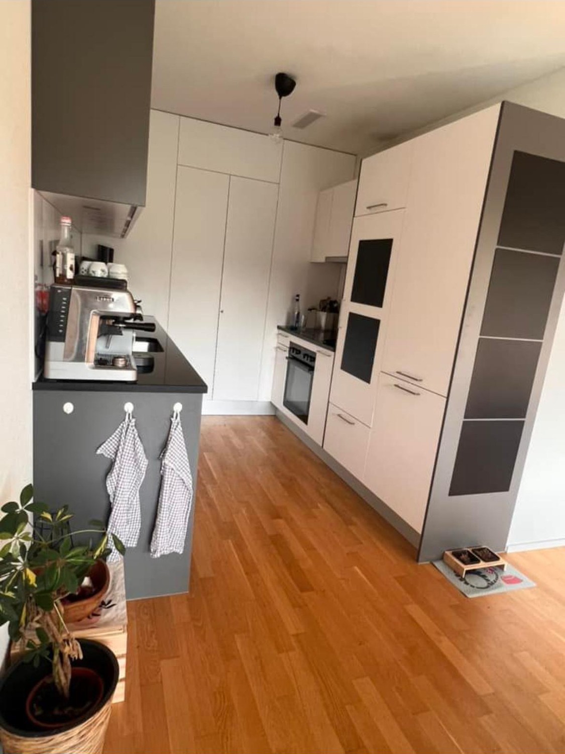 Room in a shared flat