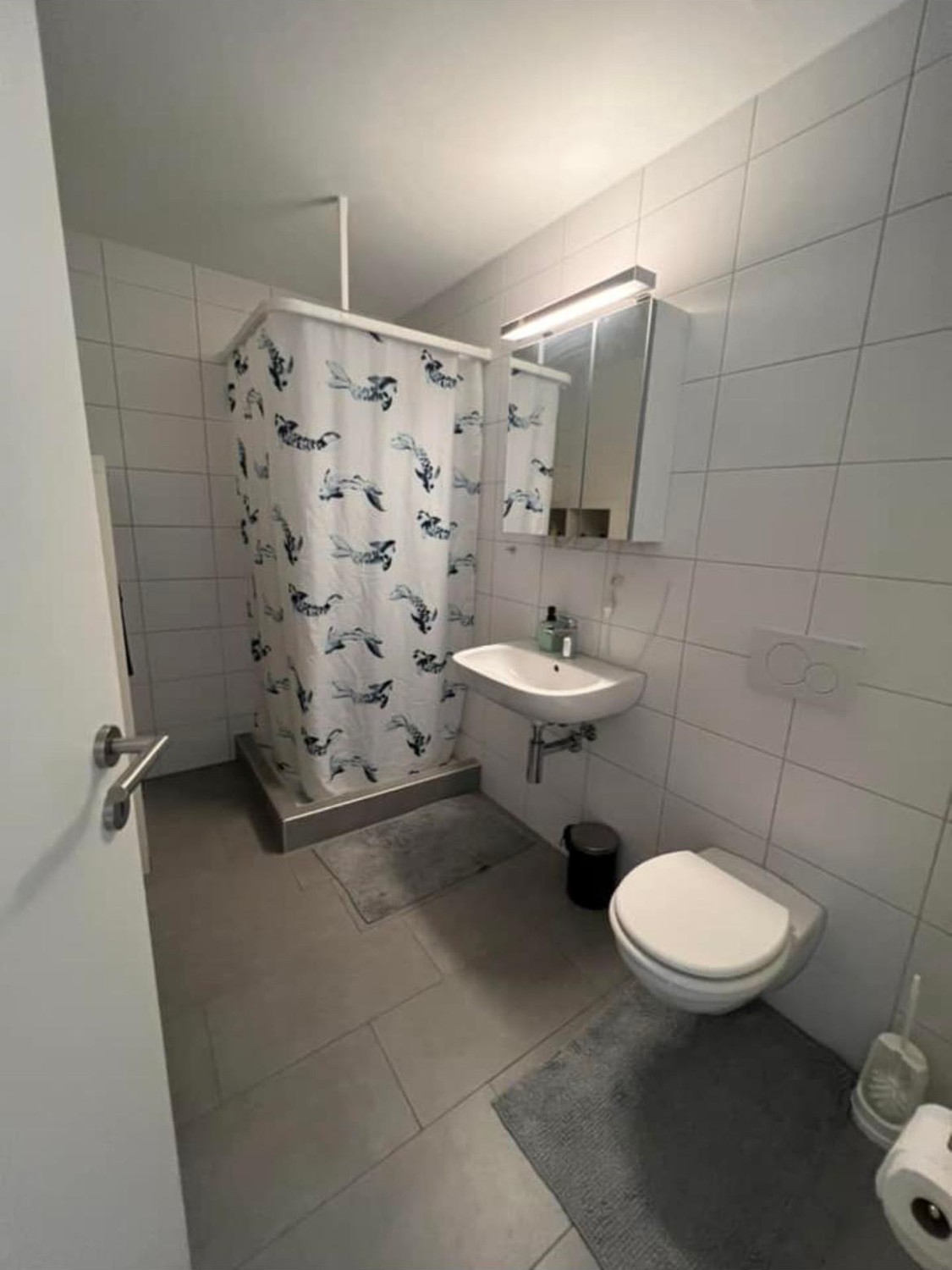 Room in a shared flat
