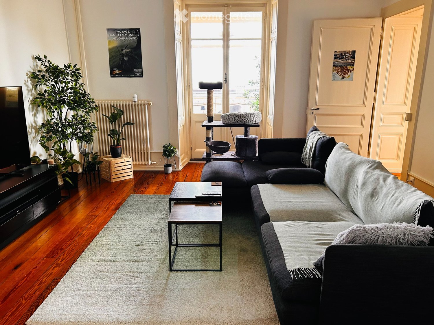 4 ½ Zimmer Wohnung
