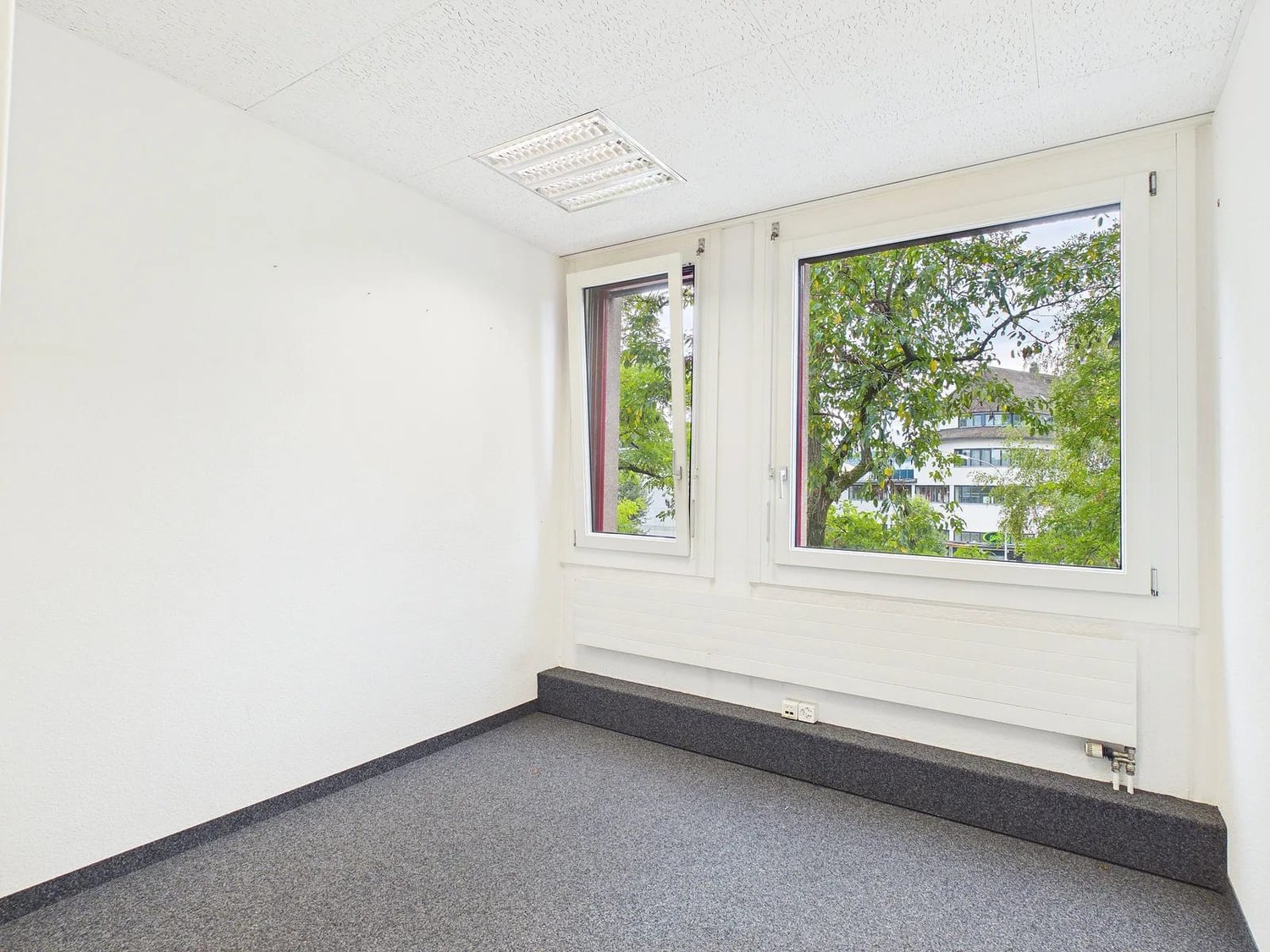 220m² commercial
